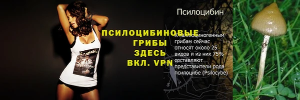 прущая мука Навашино