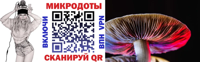 Купить  Медынь  Галлюциногенные грибы Psilocybe 